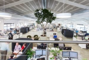 Biophilic Design For Performance & Productivity