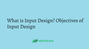 What is Input Design? Objectives of Input Design