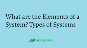 What are the Elements of a System? Types of Systems