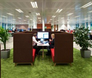 Biophilic Design For Performance & Productivity