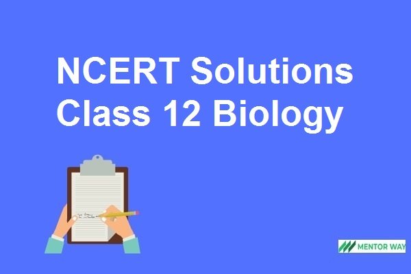 NCERT Solutions Class 12 Biology