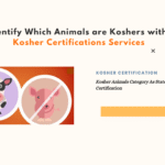 Kosher certification in Chennai