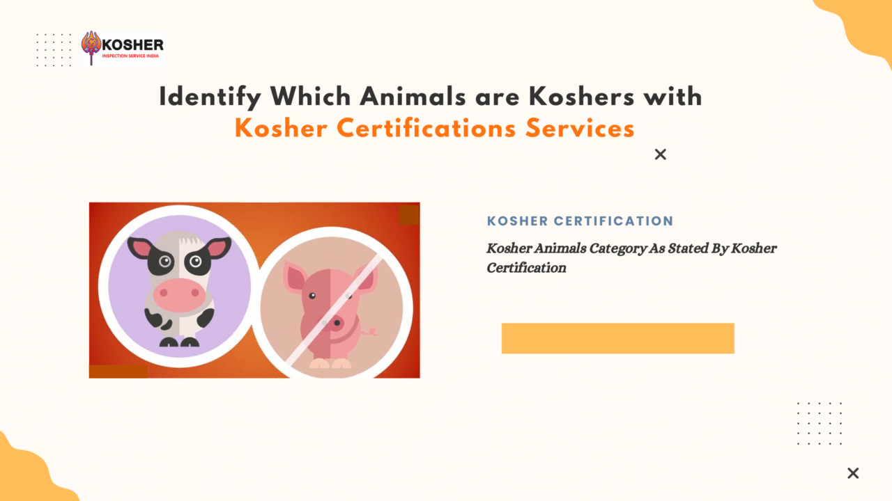 Kosher Certification